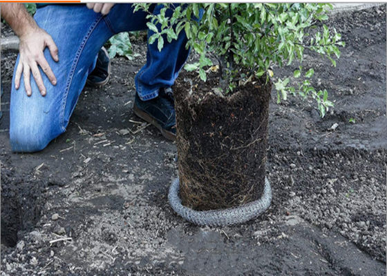 Cavo tricottato Mesh For Oil Water Separation di Aisi 304