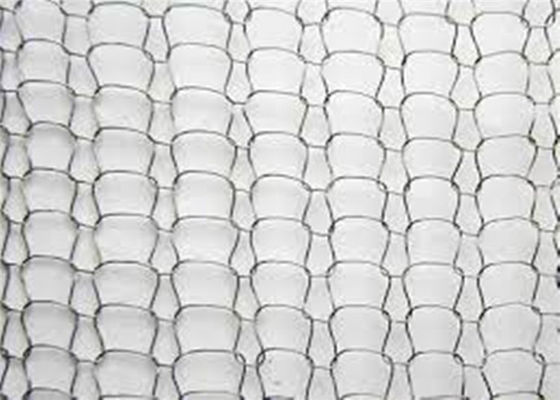 Gli ss hanno tricottato Mesh Fabric 4*5mm Mesh Hole Gas Liquid AISI 301 per il dispositivo antiappannante