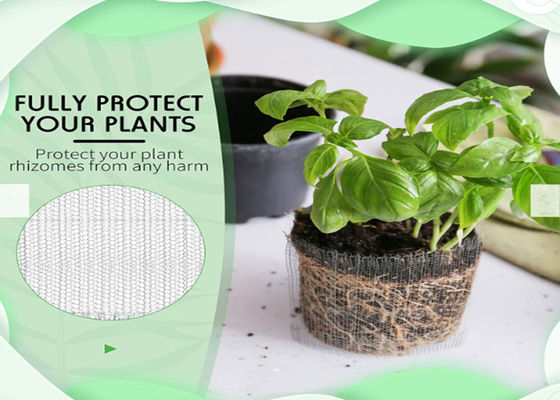 Tricottare il diametro di rame di Gopher Basket 0.12mm della guardia della radice